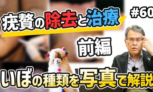 籽乌的功效与作用-籽乌的作用和功效网-分享籽乌的功效与作用，籽乌的功效与作用知识库